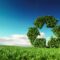 Get Rewarded for Recycling: Eco-Initiatives That Pay You in the UAE