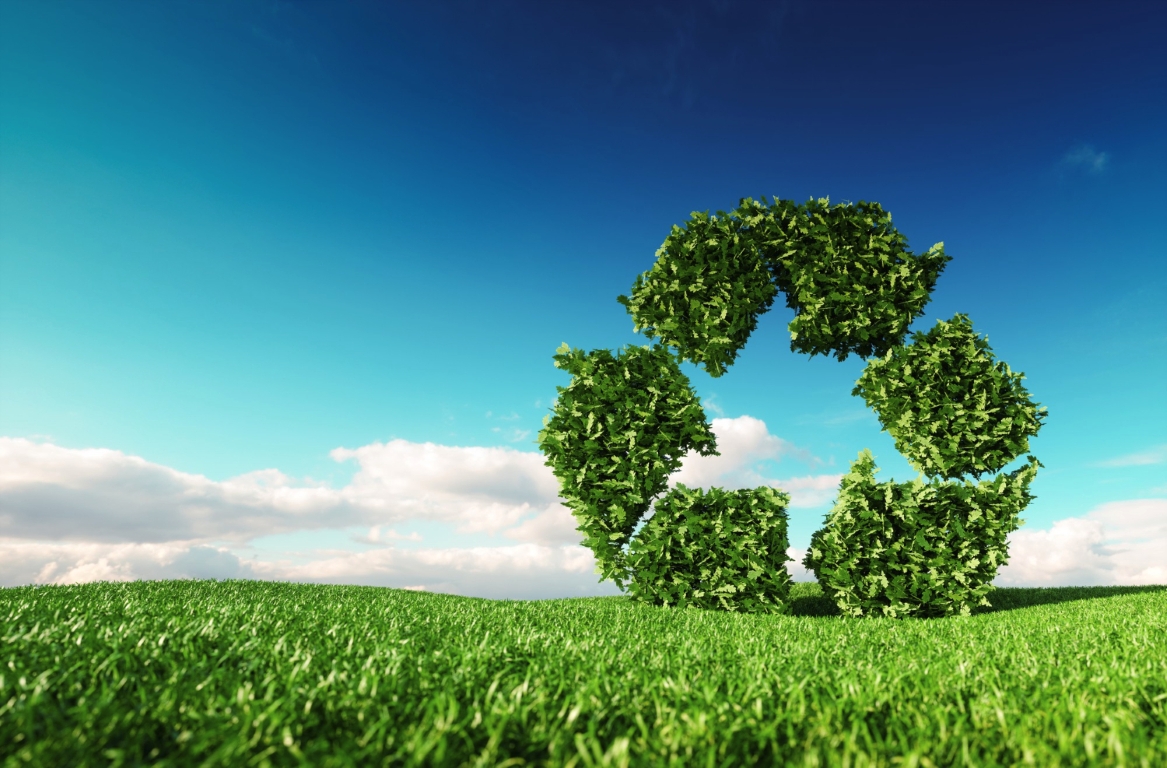 Get Rewarded for Recycling: Eco-Initiatives That Pay You in the UAE